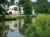 Paysages des Deux-Sèvres - Vallée de la Sèvre niortaise - Marais poitevin - Venise verte : maisons au bord de la Sèvre niortaise, fleurs jaunes en premier plan