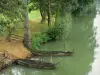 Paysages des Deux-Sèvres - Vallée de la Sèvre niortaise - Marais poitevin - Venise verte : barques sur l'eau et rive plantée d'arbres
