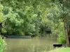 Paysages des Deux-Sèvres - Marais poitevin - Venise verte : barques, et arbres au bord de l'eau