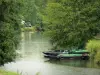 Paysages des Deux-Sèvres - Marais poitevin - Venise verte : barques, et arbres au bord de l'eau