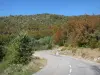 Paysages de la Drôme - Parc Naturel Régional du Vercors : route bordée d'arbres menant à La Chapelle-en-Vercors