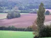Paysages d'Eure-et-Loir - Champs, arbres et forêt ; dans le Perche