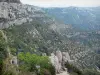 Paysages du Gard - Partie du cirque de Navacelles