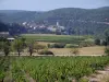 Paysages du Gard - Vignoble des Côtes du Rhône : champs de vignes, arbres, village et collines