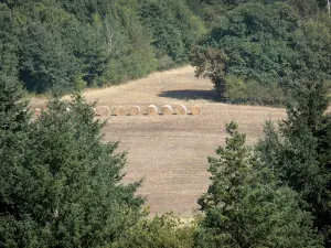 Paysages de Gascogne - Champ entouré d'arbres, avec bottes de foin