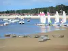 Paysages de la Gironde - Bassin d'Arcachon - Andernos-les-Bains : optimists et catamarans du club de voile, mer et cabanes du port ostréicole en arrière-plan