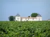 Paysages de la Gironde - Domaine viticole du Bordelais