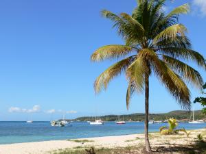 paysage-de-guadeloupe