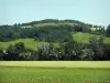 Paysages de Haute-Garonne - Champs et arbres, dans le Lauragais