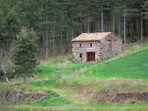 Paysages de la Haute-Loire - Cabane en pierre en lisière de forêt