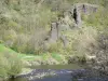 Paysages de la Haute-Loire - Gorges de l'Allier : parois rocheuses dominant la rivière Allier et arbres au bord de l'eau