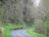 Paysages de la Haute-Loire - Route des gorges de l'Allier bordée d'arbres