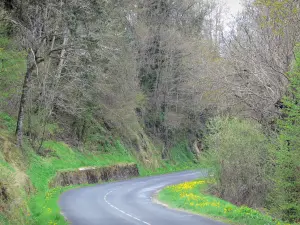 Paysages de la Haute-Loire - Route des gorges de l'Allier bordée d'arbres