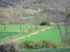 Paysages de la Haute-Loire - Sentier bordé de prairies