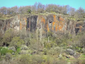 Paysages de la Haute-Loire - Gorges de l'Alagnon : orgues basaltiques de Blesle