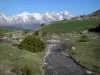 Paysages des Hautes-Alpes - Ruisseau bordé de prairies et d'arbustes, montagnes aux cimes enneigées en arrière-plan