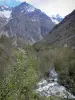 Paysages des Hautes-Alpes - Parc National des Écrins (massif des Écrins) : torrent de Navette bordé d'arbres et montagnes ; dans le Valgaudemar