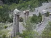 Paysages des Hautes-Alpes - Demoiselles coiffées de Théus : Salle de Bal : cheminées des fées (colonnes) et arbres