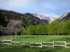 Paysages des Hautes-Alpes - Prairie, clôture en bois, arbres, forêt de Boscodon et montagne