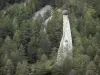 Paysages des Hautes-Alpes - Parc Naturel Régional du Queyras : Demoiselle coiffée entourée d'arbres