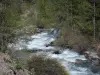 Paysages des Hautes-Alpes - Vallée de Freissinières : torrent de la Biaysse (Biaisse) bordé d'arbres et d'arbustes ; dans le Parc National des Écrins