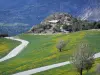 Paysages des Hautes-Alpes - Route bordée de prairies en fleurs