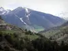 Paysages des Hautes-Alpes - Montagnes couvertes d'arbres et de prairies