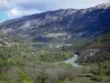 Paysages des Hautes-Alpes - Rivière bordée d'arbres et de montagnes