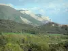 Paysages des Hautes-Alpes - Montagnes, forêt et arbres
