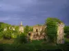 Paysages d'Indre-et-Loire - Ruines du château de Vaujours avec un ciel orageux, à Château-la-Vallière