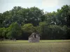 Paysages d'Indre-et-Loire - Cabane et arbres