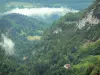 Paysages jurassiens - Gorges du Flumen, arbres, forêt, nuages, pâturages, maisonnette et tunnel ; dans le Parc Naturel Régional du Haut-Jura
