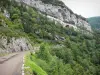Paysages jurassiens - Route des gorges du Flumen, parois rocheuses (falaises) et arbres ; dans le Parc Naturel Régional du Haut-Jura