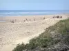Paysages des Landes - Côte d'Argent : vue sur la plage de sable de la station balnéaire de Mimizan-Plage