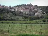 Paysages du Languedoc - Maisons d'un village, champs de vignes et arbres, dans le Parc Naturel Régional du Haut-Languedoc
