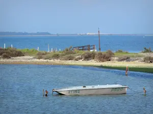 Paysages du Languedoc - Barque sur l'eau et étang