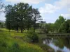 Paysages du Limousin - Étang, fleurs sauvages, arbres et nuages dans le ciel, en Basse-Marche