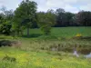Paysages du Limousin - Fleurs sauvages, étang, prairie et arbres, en Basse-Marche