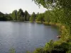 Paysages du Limousin - Arbres au bord d'un étang