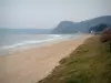 Paysages du littoral de Bretagne - Rivage recouvert d'herbage, plage de sable, mer (la Manche) et côte