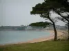Paysages du littoral de Bretagne - Côte avec arbres, herbage et maisons, plage de sable et mer (la Manche)