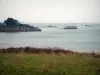Paysages du littoral de Bretagne - Rivage recouvert d'herbe, mer (la Manche), côtes et rochers en arrière-plan