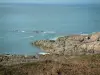 Paysages du littoral de Bretagne - Côte déchiquetée, en partie recouverte d'herbage, et mer (la Manche)