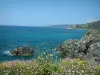 Paysages du littoral Corse - Fleurs sauvages, rochers, mer méditerranée et côtes au loin (au nord de la pointe de la Parata)