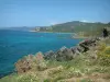 Paysages du littoral Corse - Fleurs sauvages, herbage, rochers, mer méditerranée et côtes au loin (au nord de la pointe de la Parata)