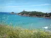 Paysages du littoral Corse - Côte des Nacres : anse de Fautea avec fleurs sauvages, mer méditerranée, côte et tour génoise