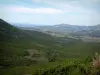 Paysages du littoral Corse - Colline couverte de maquis avec vue sur la Balagne et la mer