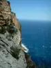 Paysages du littoral de Provence - Cap Canaille : falaise et mer méditerranée