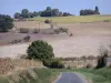 Paysages du Lot-et-Garonne - Petite route de campagne bordée de champs