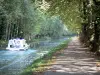 Paysages du Lot-et-Garonne - Bateau naviguant sur le canal de Garonne (canal latéral à la Garonne), piste cyclable de la Voie Verte (chemin de halage) et platanes (arbres) au bord de l'eau ; à Damazan